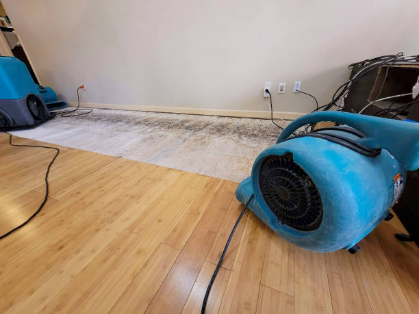 Professional Structural Drying technician working in Newfields, NH